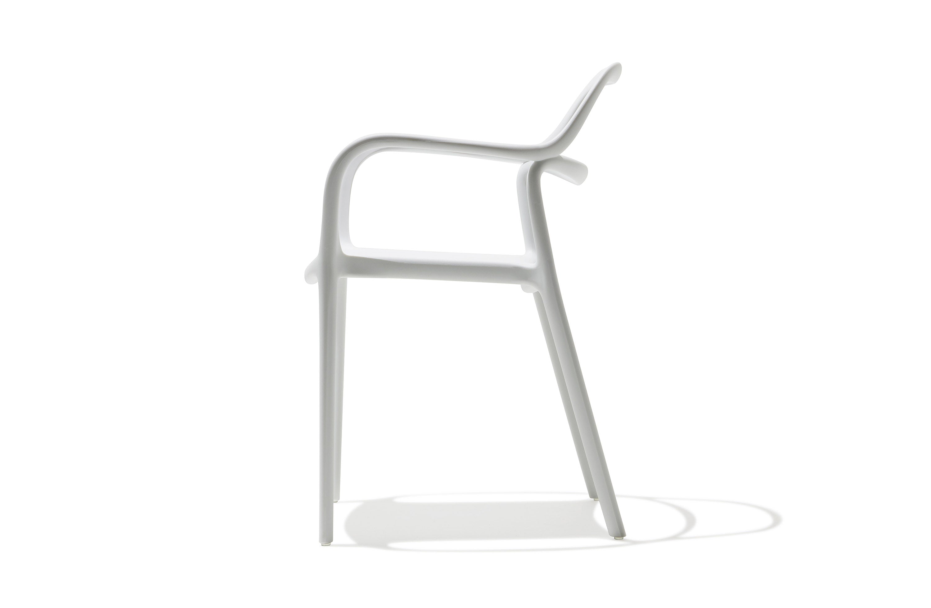 Ripple Dining Chair